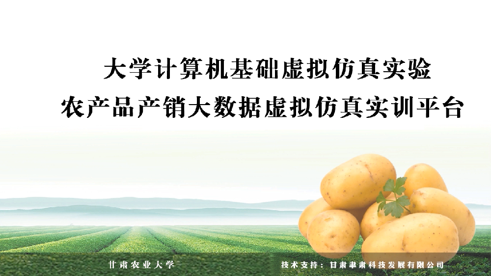 大学计算机基础——虚拟仿真实验农产品产销大数据虚拟仿真实训平台